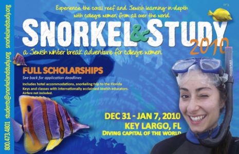 snorkel study.jpg